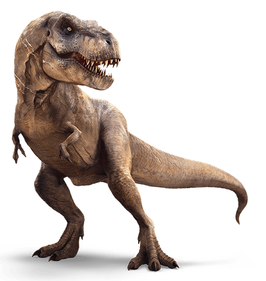 Featured image of post Skele Rex In Real Life