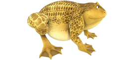 Beekzebufo.png