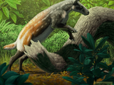 Eohippus