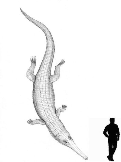 Steneosaurus