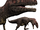 Mapusaurus