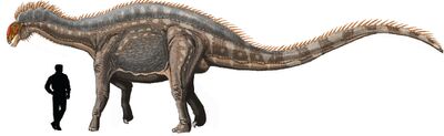 Dicraeosaurus.jpg