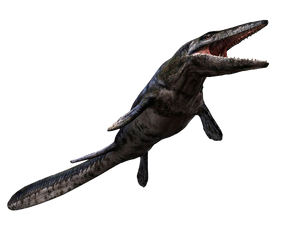 9053929 orig.png