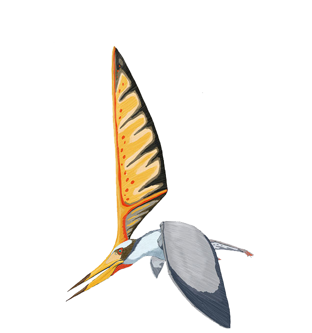 Nyctosaurus Pterodactyloidea Ornithocheiroidea Dinosaur Pteranodon PNG,  Clipart, Accord, Antler, Austriadactylus, Dinosaur, Fantasy Free PNG  Download