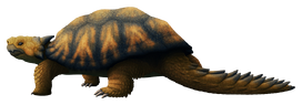 Tumblr pdwqy9N3gx1s5f2yxo1 1280.png