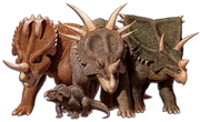 Steve Parker Ceratopsians.png