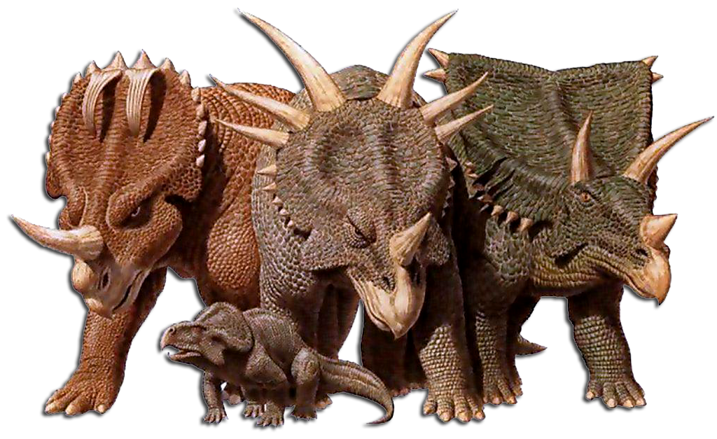 Ceratopsian Dinosaur Wiki Fandom