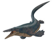 Tylosaurus rm