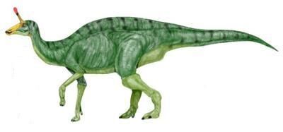 Tsintaosaurus.jpg