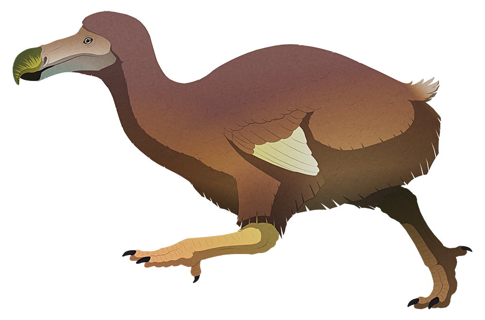 Dodo Dinosaur Wiki Fandom