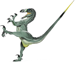 Deinonychus antirrhopus - the Terrible Claw Dinosaur