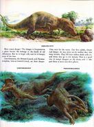 Gorgo Dinosaurs and Other Prehistoric Reptiles