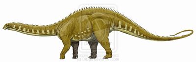 Apatosaurus2.jpg