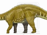 Apatosaurus