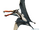 Caulkicephalus