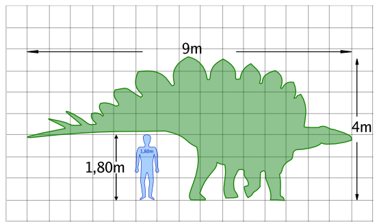 Кто такой stegosaurus rex. Смотреть фото Кто такой stegosaurus rex. Смотреть картинку Кто такой stegosaurus rex. Картинка про Кто такой stegosaurus rex. Фото Кто такой stegosaurus rex
