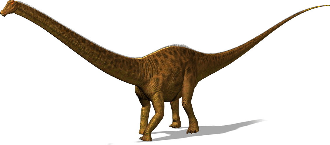 Diplodocus 3D Dinosaur