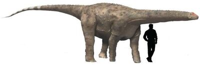 Hypselosaurus.jpg