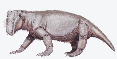 Lystrosaurus.jpg