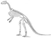 Hypsilophodon foxii