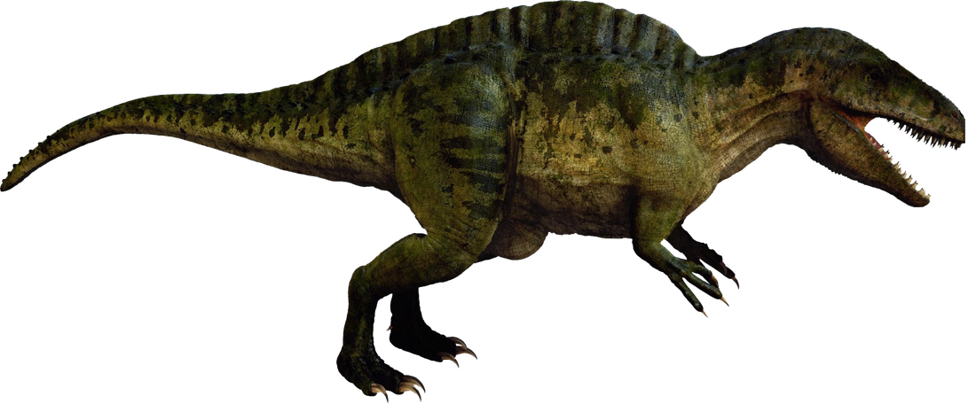 giganotosaurus vs carcharodontosaurus vs acrocanthosaurus