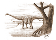 Art rendition of Magyarosaurus dacus