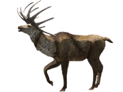 WWB Megaloceros render