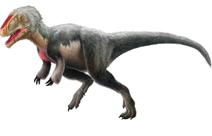 5162466 orig.png