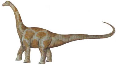 Aepisaurus