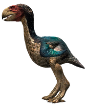 Gastornis vector