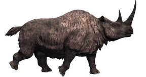 3557235 orig.png