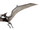 Pteranodon