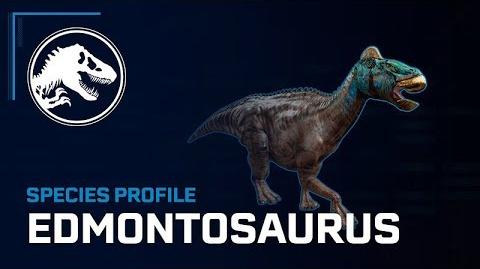 Species Profile - Edmontosaurus