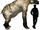 Ancyclotherium