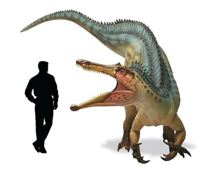 Baryonyx.jpg