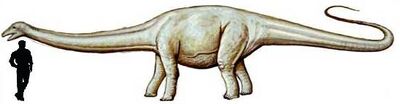 Cetiosauriscus.jpg