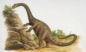 Cetiosauriscus