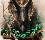 Illustration of Triceratops prorsus eating plants