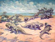 Nesting Protoceratops