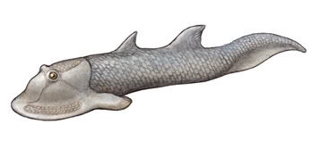 Ateleaspis.jpg