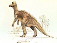 Corythosaurus-postcard-1000x765