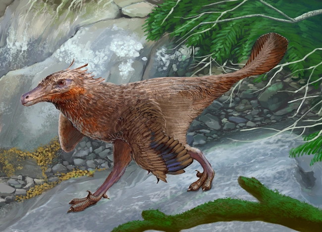 Diuqin Dinosaur Wiki Fandom