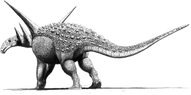 Sauropelta.png