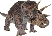 El tamano de los individuos de triceratops se estima entre los 7,8 a 9 metros de largo y 2,9 de altura