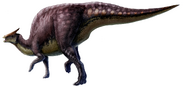 Saurolophus scalation