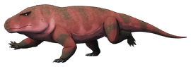 Tumblr ab9cc36739ec797648de26d23349a771 7454542b 1280.png