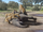 Homotherium
