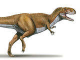 Rajasaurus