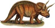 Triceratops-roger-hall-and-photo-researchers 1b1e