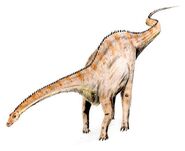 Diplodocus4 colorized